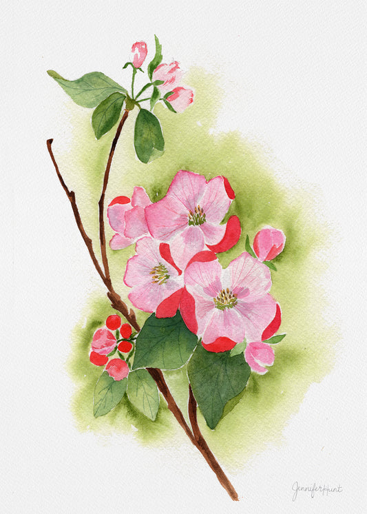 Apple Blossom Artprint