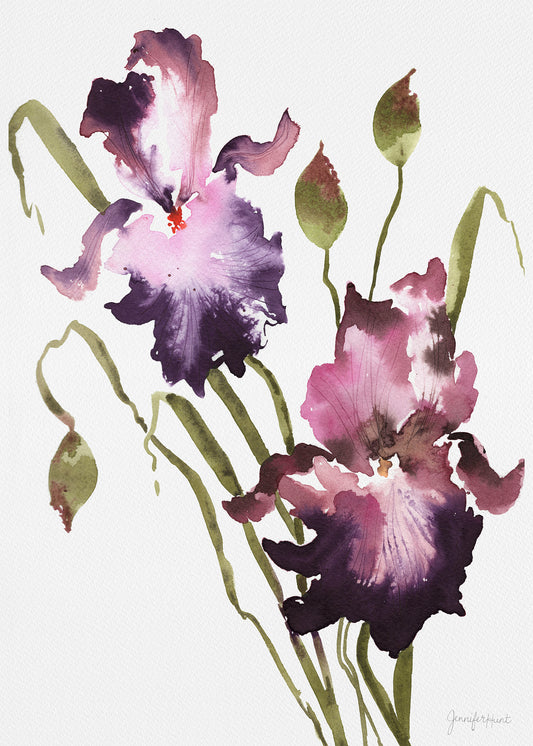 Royal Irises Artprint